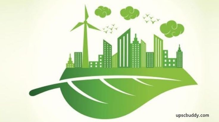 imagem do card da loja